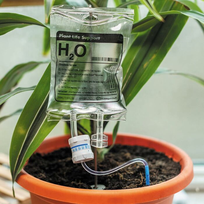 This Automatic Watering System For House Plant Is For Everyone Who Keeps Sending Their Plants To The ER