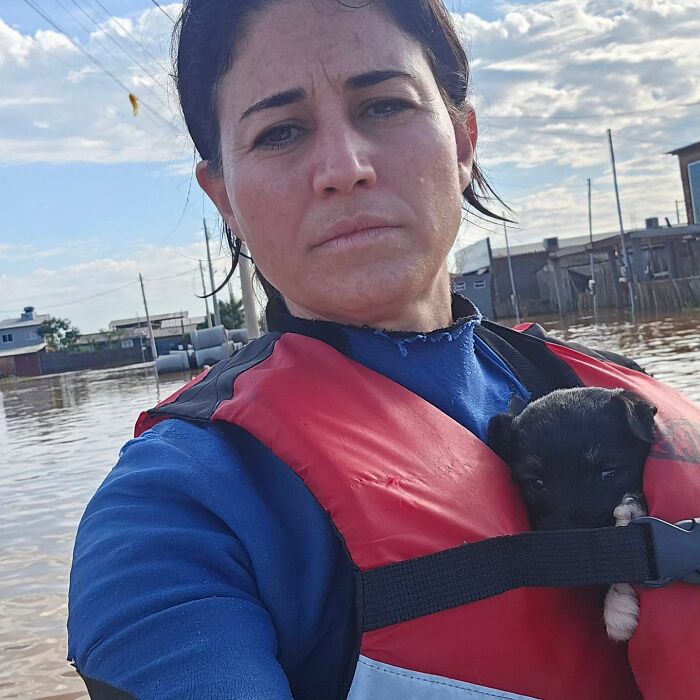 These Dedicated Volunteers Are Rescuing Thousands Of Animals From Rio Grande Do Sul Floods In Brazil