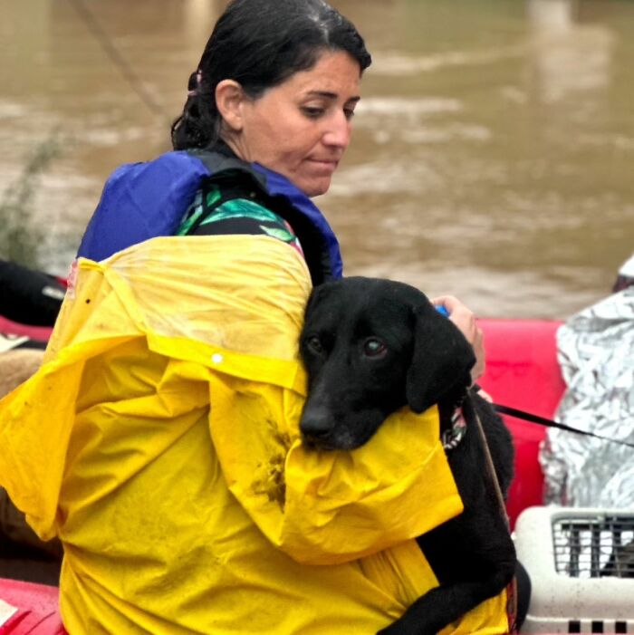 These Dedicated Volunteers Are Rescuing Thousands Of Animals From Rio Grande Do Sul Floods In Brazil