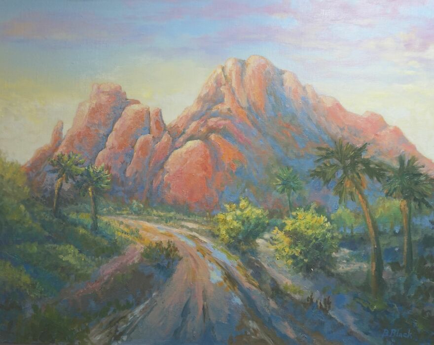 A Love Letter To The Sonoran Desert  Capturing Arizona s Majesty In 13 Paintings - 28