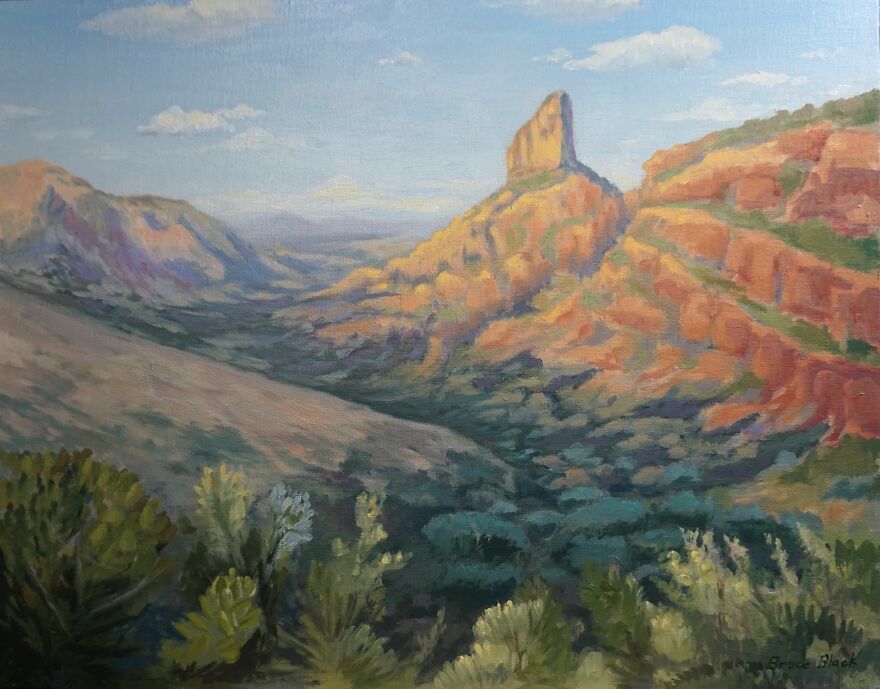 A Love Letter To The Sonoran Desert  Capturing Arizona s Majesty In 13 Paintings - 80