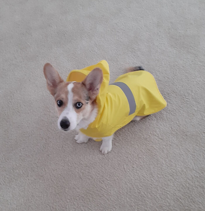 Katniss Gets A New Raincoat