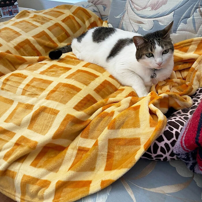 A Realistic Waffle Blanket With Pouch : A Whole New Take On Breakfast In Bed