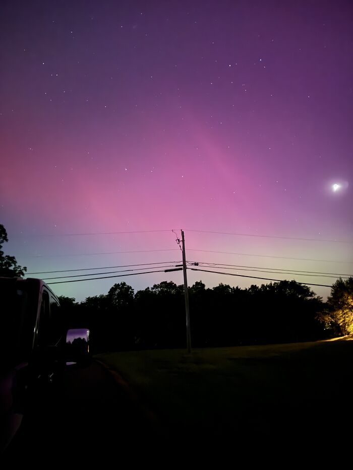 Pink Flares