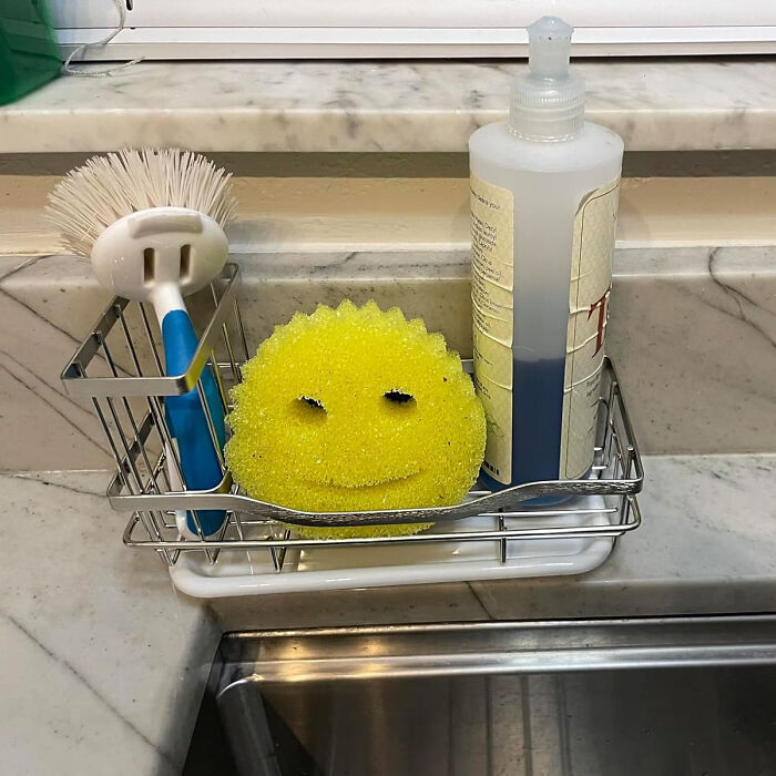  Sponge Holder & Drain Tray Will Keep Your Scrub Daddy Smiling