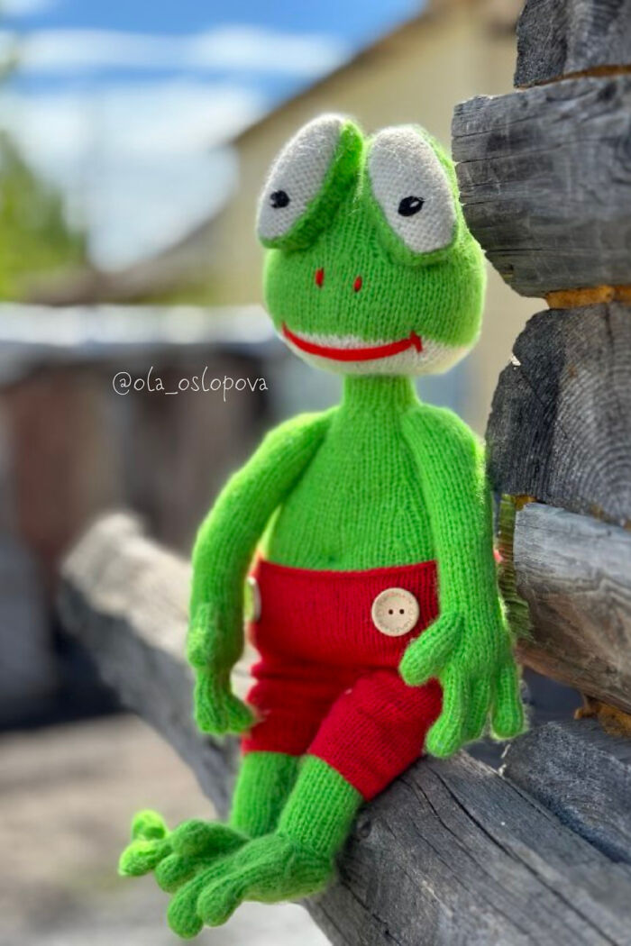 I Am A Toy Designer And This Is The Knitted Frog That I Made