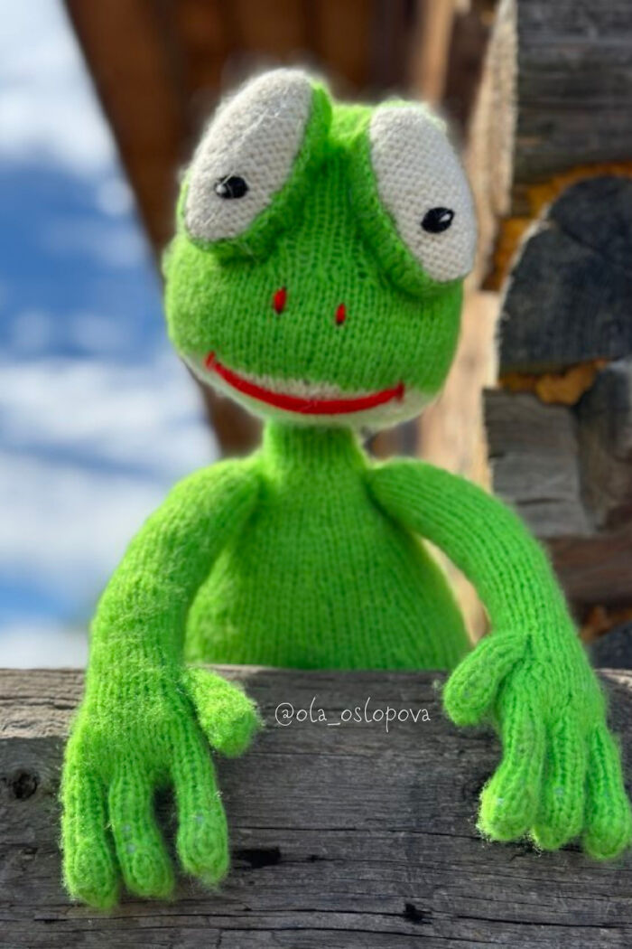 I Am A Toy Designer And This Is The Knitted Frog That I Made