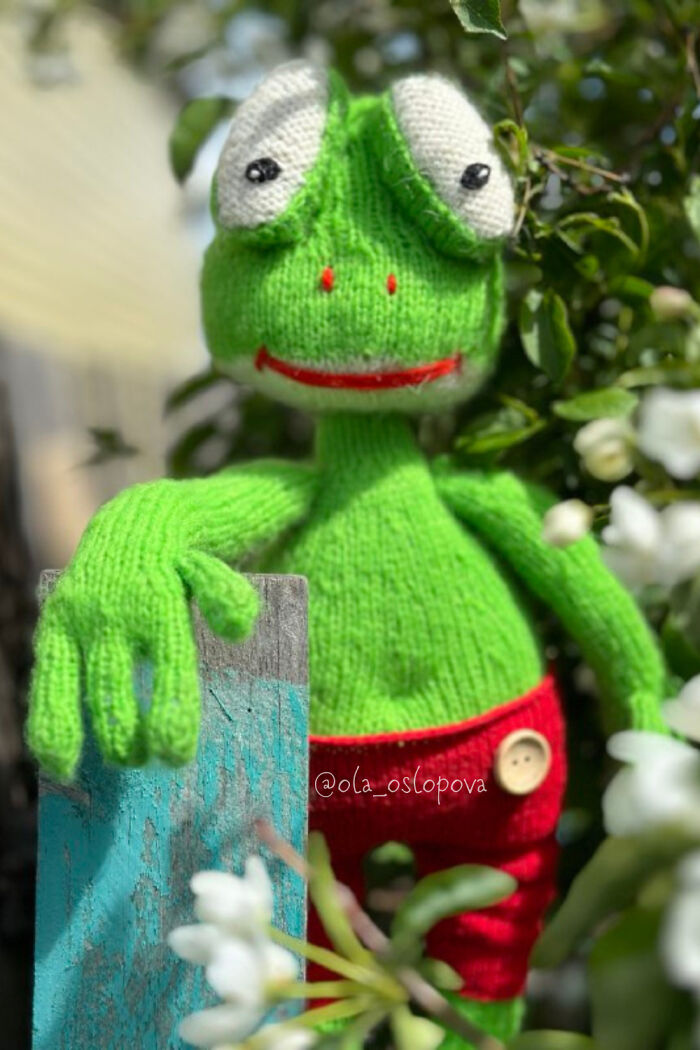 I Am A Toy Designer And This Is The Knitted Frog That I Made