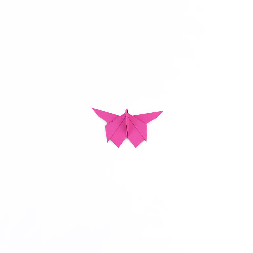 I Make Unique Origami Butterflies (38 Pics)