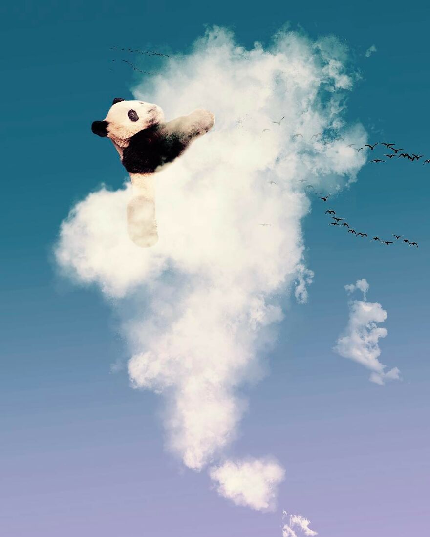 Markus Einspannier's "Usetheclouds",a Decade Of Whimsical Interactions Between People And Clouds