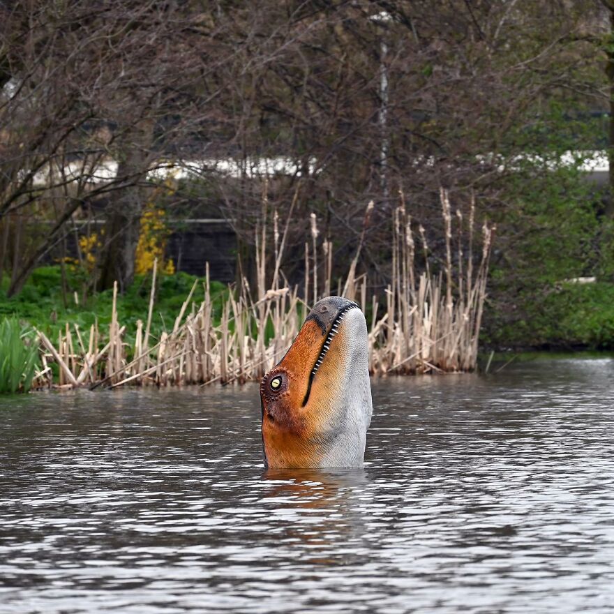 Meet Frankey: The Master Of Surprise In Amsterdam's Streets (New Pics)