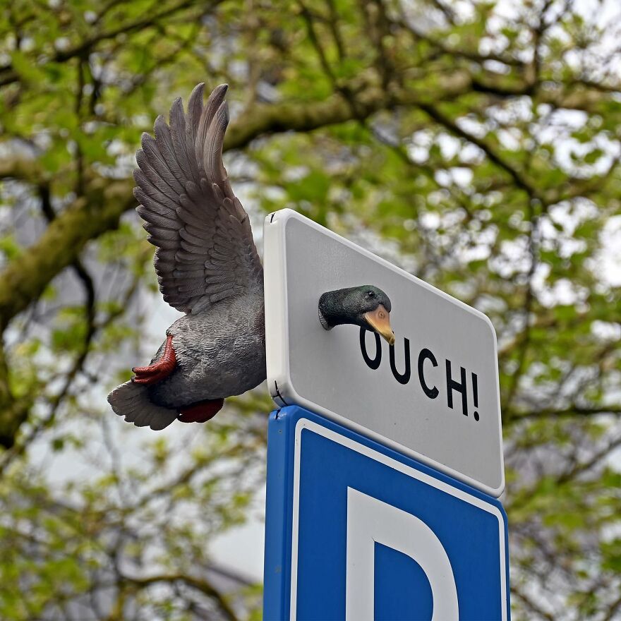 Meet Frankey: The Master Of Surprise In Amsterdam's Streets (New Pics)