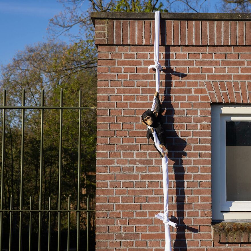 Meet Frankey: The Master Of Surprise In Amsterdam's Streets (New Pics)