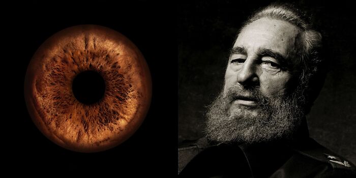 The Complex Business Of Iris Photography Is Capturing The Beauty Of The Human Eye In Immense Detail