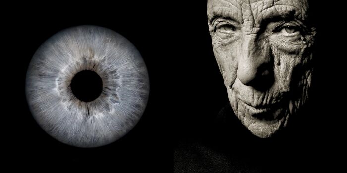 The Complex Business Of Iris Photography Is Capturing The Beauty Of The Human Eye In Immense Detail