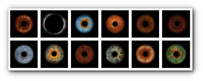 The Complex Business Of Iris Photography Is Capturing The Beauty Of The Human Eye In Immense Detail