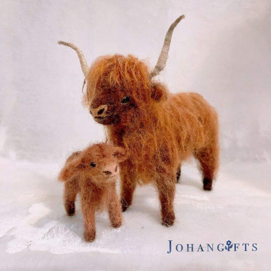 Highland Cow And Calf