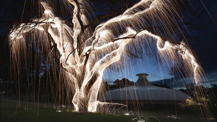 Light Drips From Trees In Long-Exposure Photos By Vitor Schietti (21 Pics)