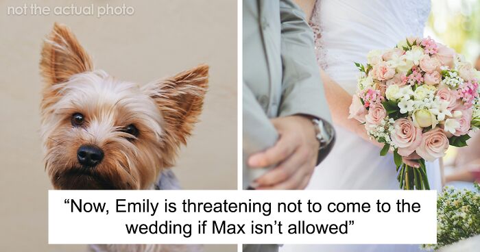 Hey Pandas, AITA For Not Letting My Sister's Dog Attend My Wedding?