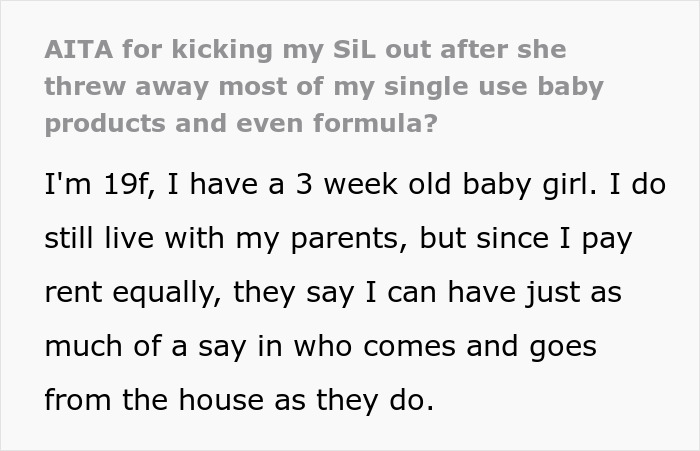 “AITA For Kicking SIL Out After She Threw Away Most Of My Single-Use Baby Products & Formula?”