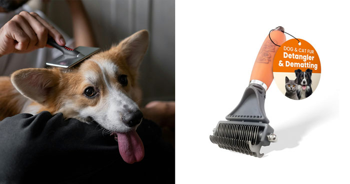 Best Dog Brush For Any Grooming Situation: 2024 Edition