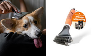 Best Dog Brush For Any Grooming Situation: 2024 Edition