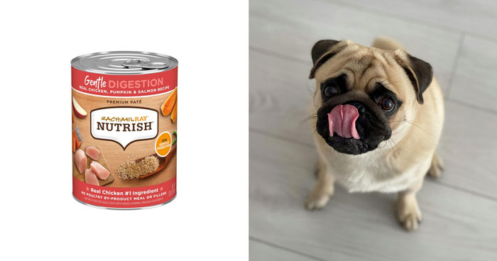 Best Dog Foods For Gassy Dogs, According To Experts