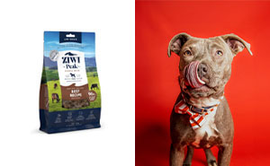 Best Dog Food For Pit Bulls With Skin Allergies