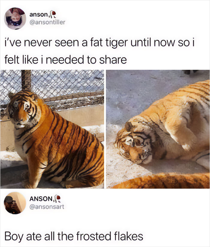 Big Boi Tiger