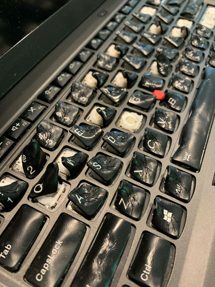 User Spilt Coffee On His Laptop - So He Put It In The Oven To Dry It Out