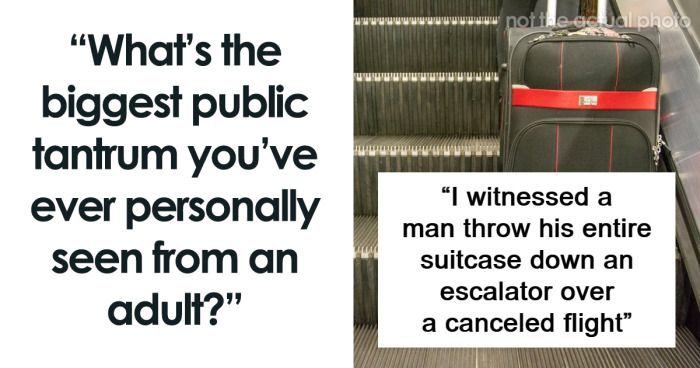 83 People Share The Worst Adult Tantrums They Have Seen In Public