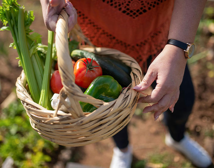 Woman Goes From Hating BF’s Garlic Obsession To Heartbreak By Unravelling His Affair Through It