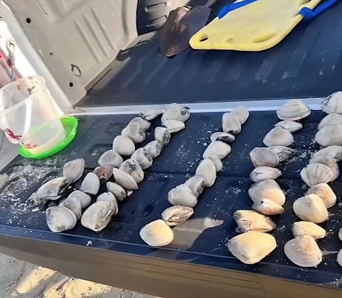 “It Ruined Our Trip”: Mom Fined $88k After Kids Pick Up 72 Clams Thinking They Were Seashells