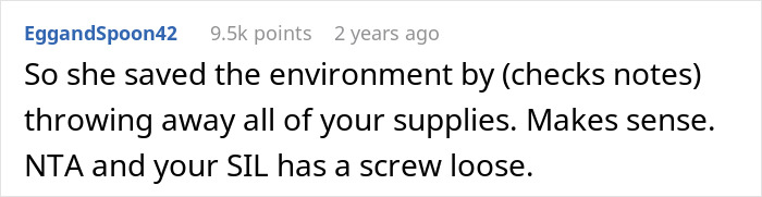 “AITA For Kicking SIL Out After She Threw Away Most Of My Single-Use Baby Products & Formula?”