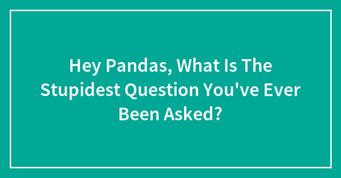 Hey Pandas, What Is The Most Stupid Question You’ve Ever Been Asked? (Closed)