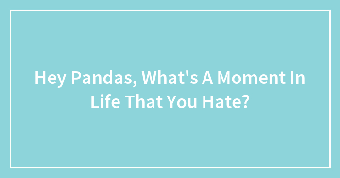 Hey Pandas, What’s A Moment In Life That You Hate? (Closed)