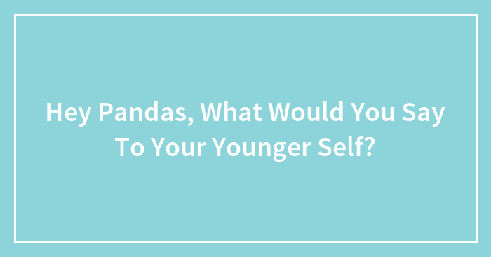 Hey Pandas, What Would You Say To Your Younger Self? (Closed)