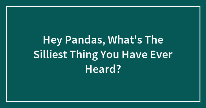 Hey Pandas, What’s The Silliest Thing You Have Ever Heard? (Closed)