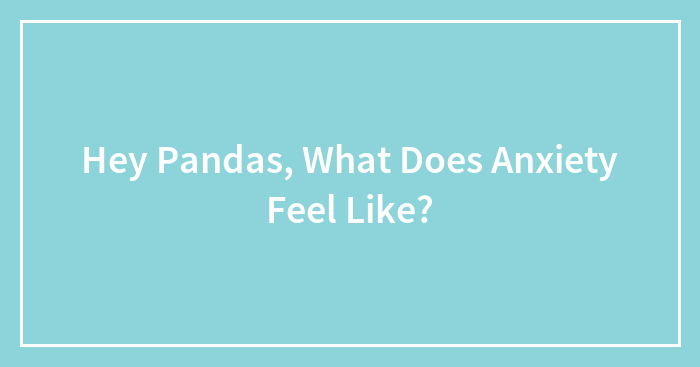 Hey Pandas, What Does Anxiety Feel Like?