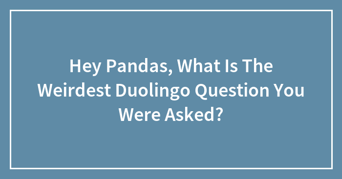 Hey Pandas, What Is The Weirdest Duolingo Question You Were Asked? (Closed)