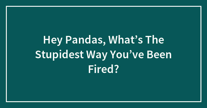 Hey Pandas, What’s The Stupidest Way You’ve Been Fired?