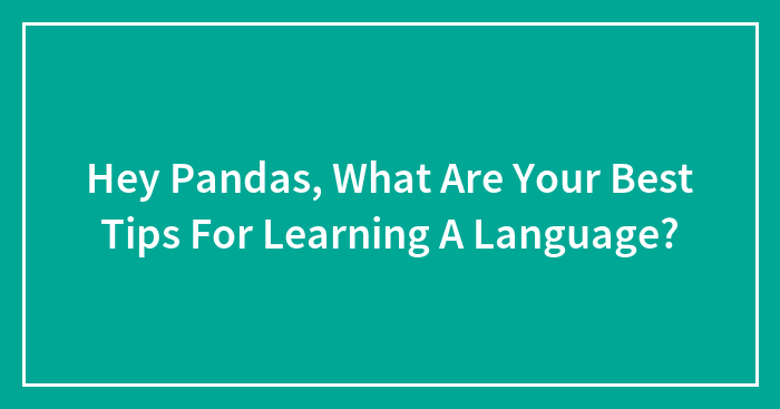 Hey Pandas, What Are Your Best Tips For Learning A Language? (Closed)