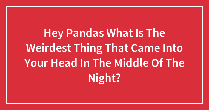 Hey Pandas What Is The Weirdest Thing That Came Into Your Head In The Middle Of The Night?