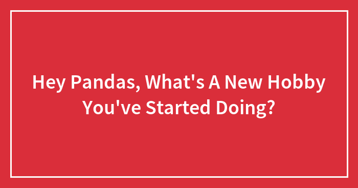 Hey Pandas, What’s A New Hobby You’ve Started Doing?