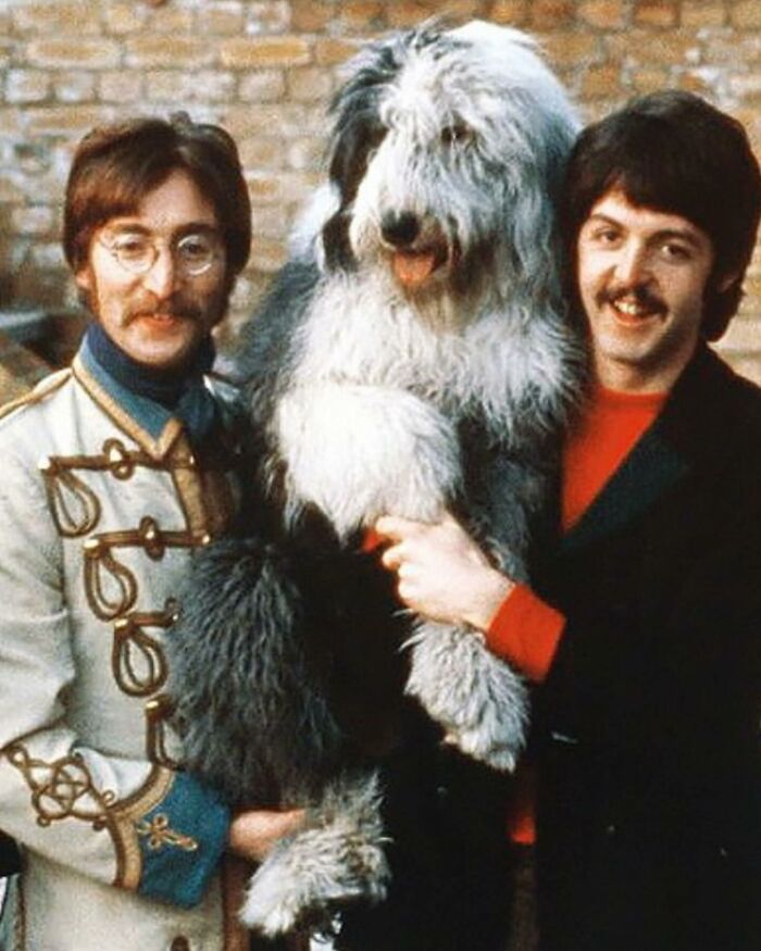 In 1968, The Beatles Released The White Album, And With It, A Song Called “Martha My Dear.”⁣⁣ It Was Inspired By And Written About Martha, Mccartney’s Dog
