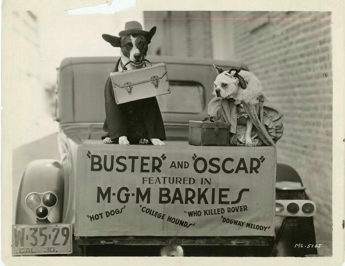 At The Dawn Of Sound In Motion Pictures, A New Genre Of Short Films With Synchronized Sound Called "Talkies" Became Popular.“ In Response, Mgm Studios Came Up With “Barkies.”