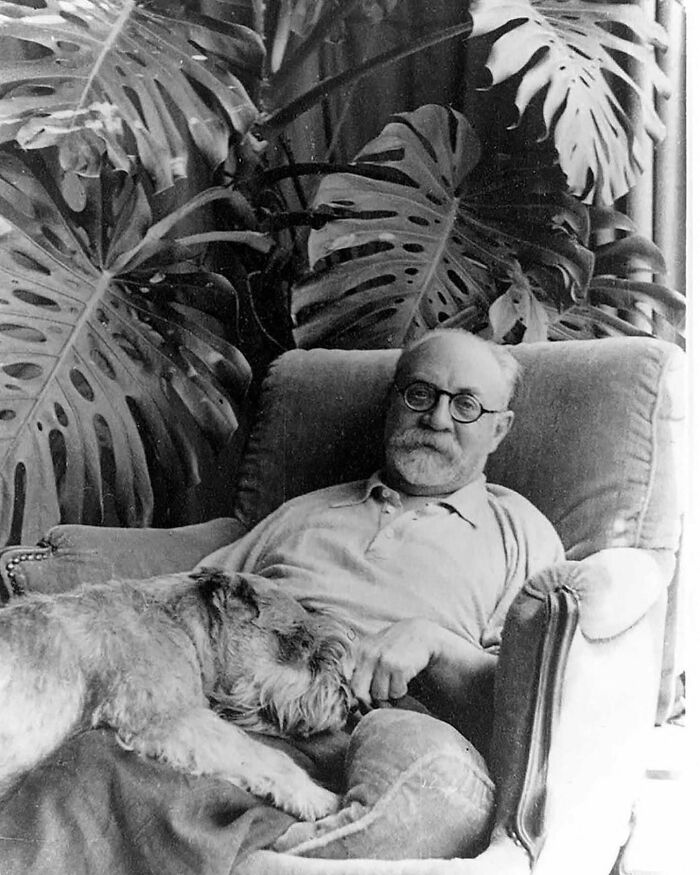 Henri Matisse, His Dog, And His Monstera