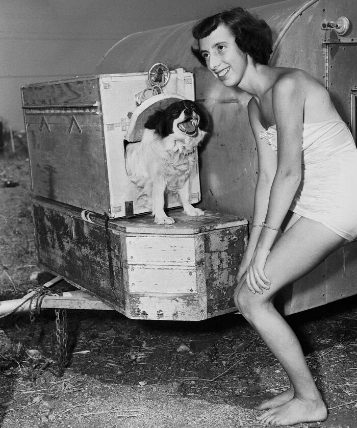 Marlene Linteau, 17, With Pancho, 6, Showing Off Dog Trailer, La Crescenta, California, 1951