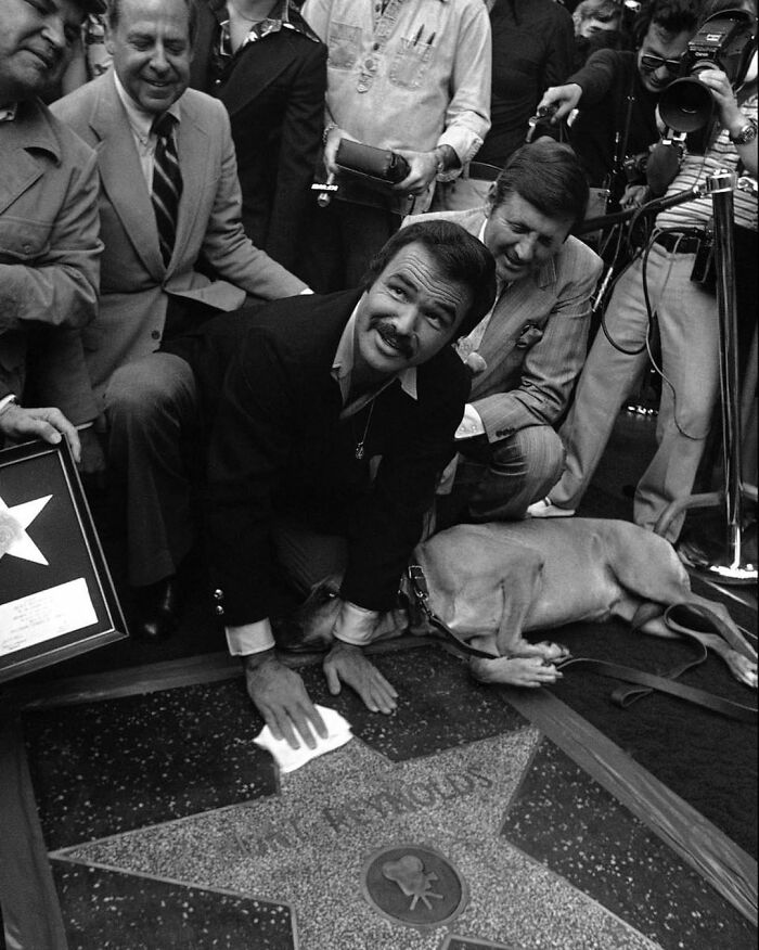 Burt Reynolds Polishing His Star After It Was Unveiled On The Hollywood Walk Of Fame In Los Angeles, 1978