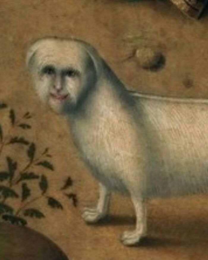 A Dog Featured In “La Visitación” By The Maestro Of Miraflores, 1490